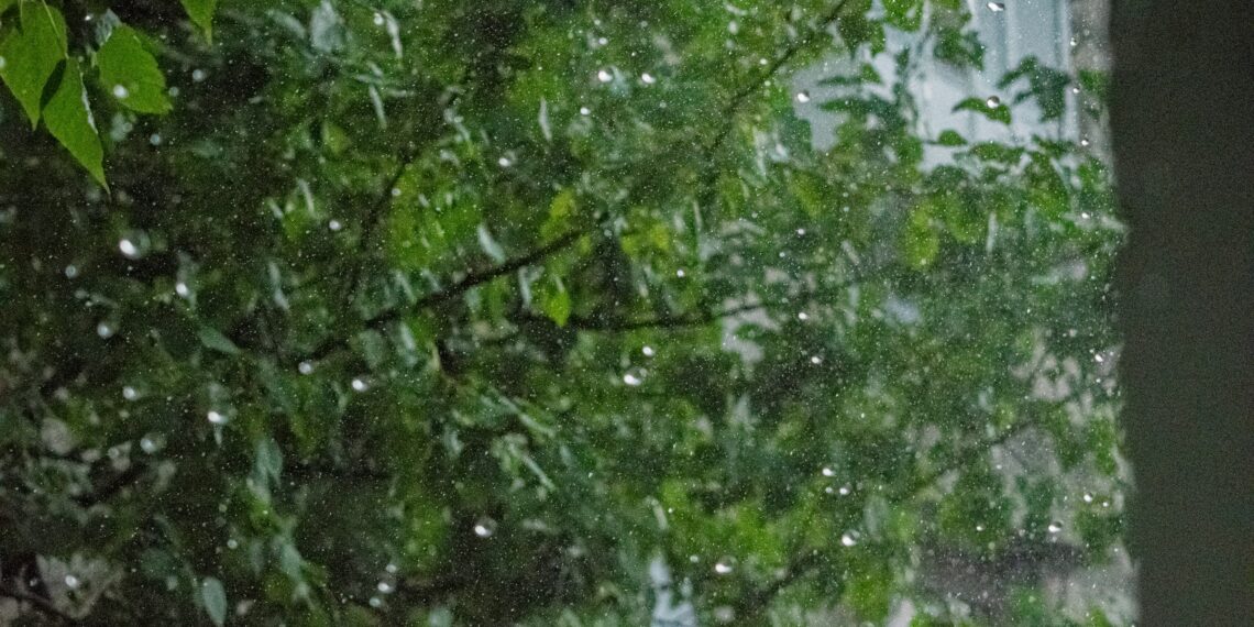 Ravagii din cauza vântului în județul Caraș – Severin