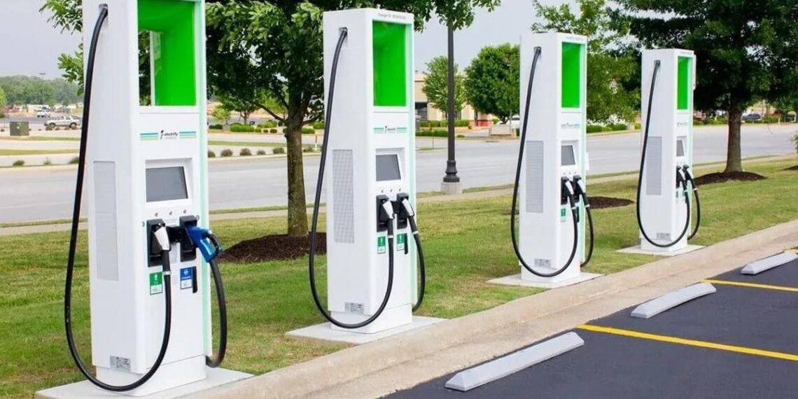 Se face curățenie de toamnă în Lugoj