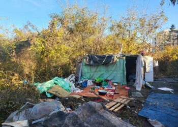 Colibe improvizate, deșeuri și autovehicule abandonate depistate de polițiști