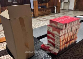 Peste 2 milioane de țigarete, în valoare de 480.000 de euro, descoperite la frontiera Nădlac II