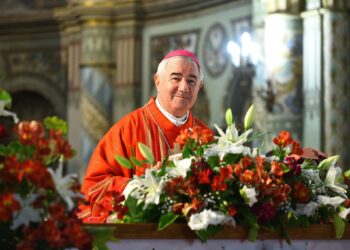 Mesajul Excelenţei Sale Iosif Csaba Pál, episcop diecezan romano-catolic de Timişoara, cu ocazia Nașterii Domnului, Crăciunul