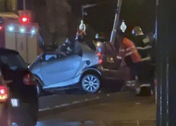 Un tânăr care a gonit pe Michelangelo a intrat într-un stâlp/Video