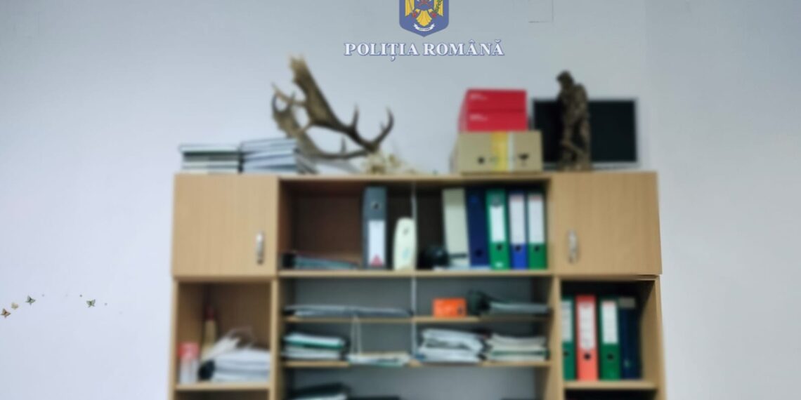 Percheziții de amploare în județul Timiș