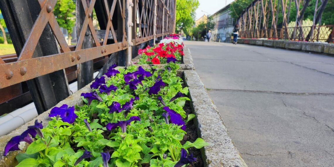 Eveniment special de Crăciun organizat de Asociația Centrul Creștin Vertical