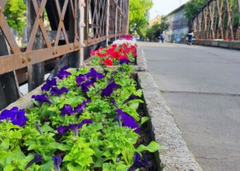 Eveniment special de Crăciun organizat de Asociația Centrul Creștin Vertical