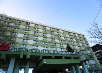 Mesajul Excelenţei Sale Iosif Csaba Pál, episcop diecezan romano-catolic de Timişoara, cu ocazia Nașterii Domnului, Crăciunul