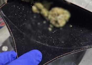 Trei traficanți de droguri reținuți la Arad/Video