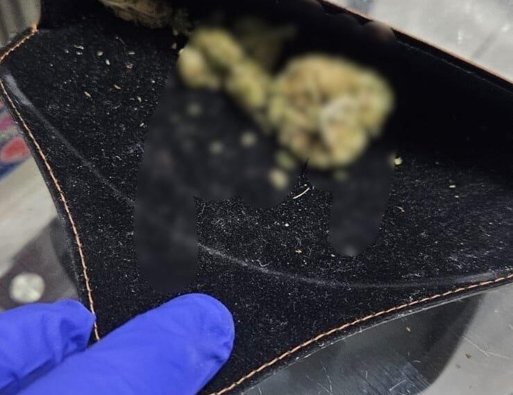 Trei traficanți de droguri reținuți la Arad/Video