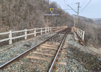 Polițiștii din Caraș-Severin au descins la hoții care au furat cablu de telecomunicații de la CFR