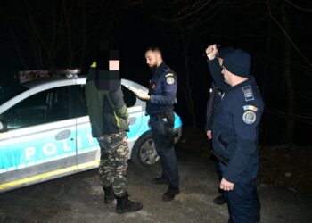 Tineri depistați după ce au vânat un căprior în Parcul Național Cheile Nerei- Beușnița