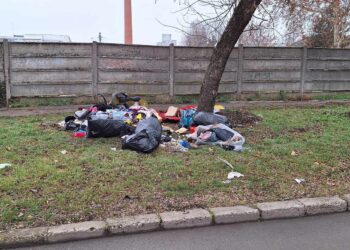Sancționați drastic cu 90.000 de lei de polițiștii locali, pentru abandonarea deșeurilor pe domeniul public