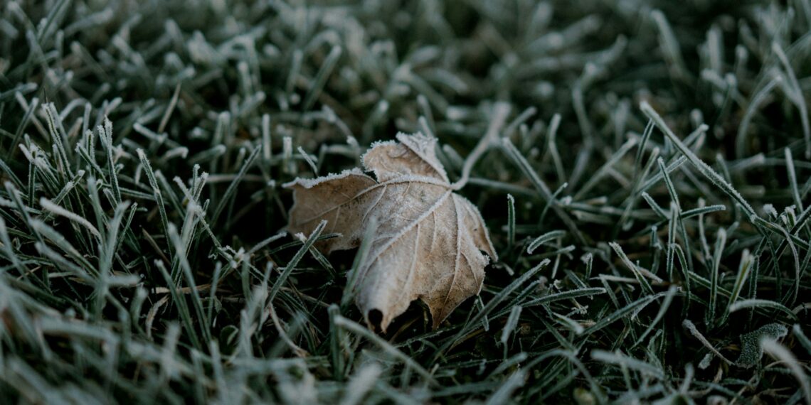 Cum va fi vremea în următoarea perioadă