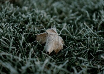 Cum va fi vremea în următoarea perioadă