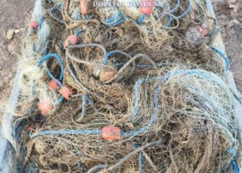 Braconieri din Timiș, reținuți de polițiști după ce au pescuit ilegal