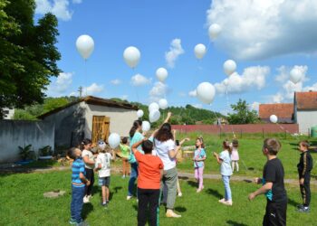 5 organizații din Timiș au reușit să aducă școala mai aproape de copiii de la sate