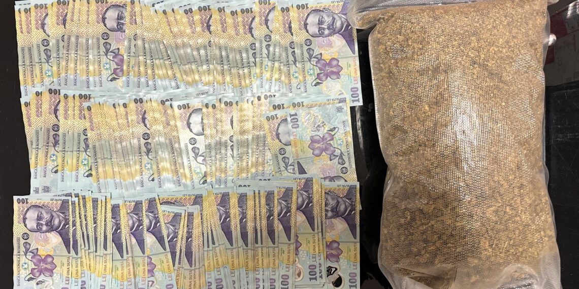 Peste 12 kilograme de canabis, capturate de polițiști și procurori la Timișoara/Video