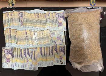 Peste 12 kilograme de canabis, capturate de polițiști și procurori la Timișoara/Video