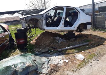 Recomandări de ultimă oră de la Registrul Auto Român/Foto