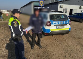 Microfermele de animale, la control. Poliția verifică condițiile de deținere a câinilor