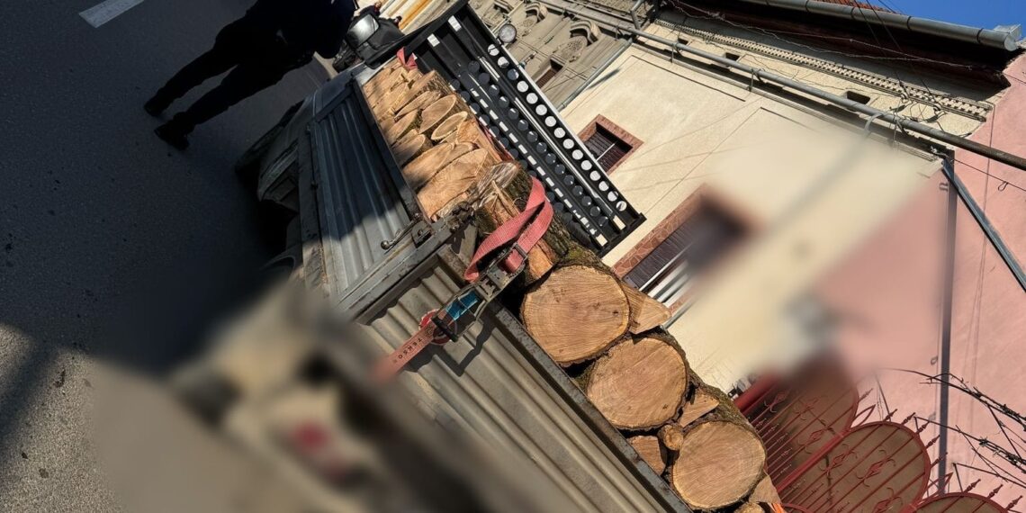 Material lemnos confiscat de polițiștii din Lugoj