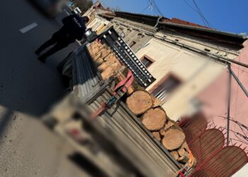 Material lemnos confiscat de polițiștii din Lugoj