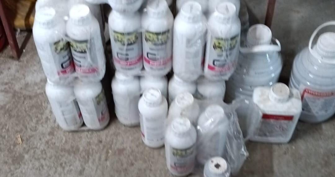 Trei câini salvați de polițiștii timișeni dintr-o locuință din Timișoara