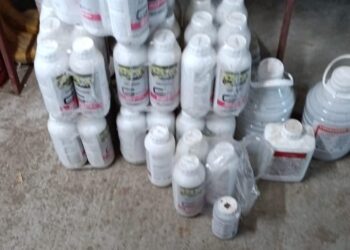 Trei câini salvați de polițiștii timișeni dintr-o locuință din Timișoara