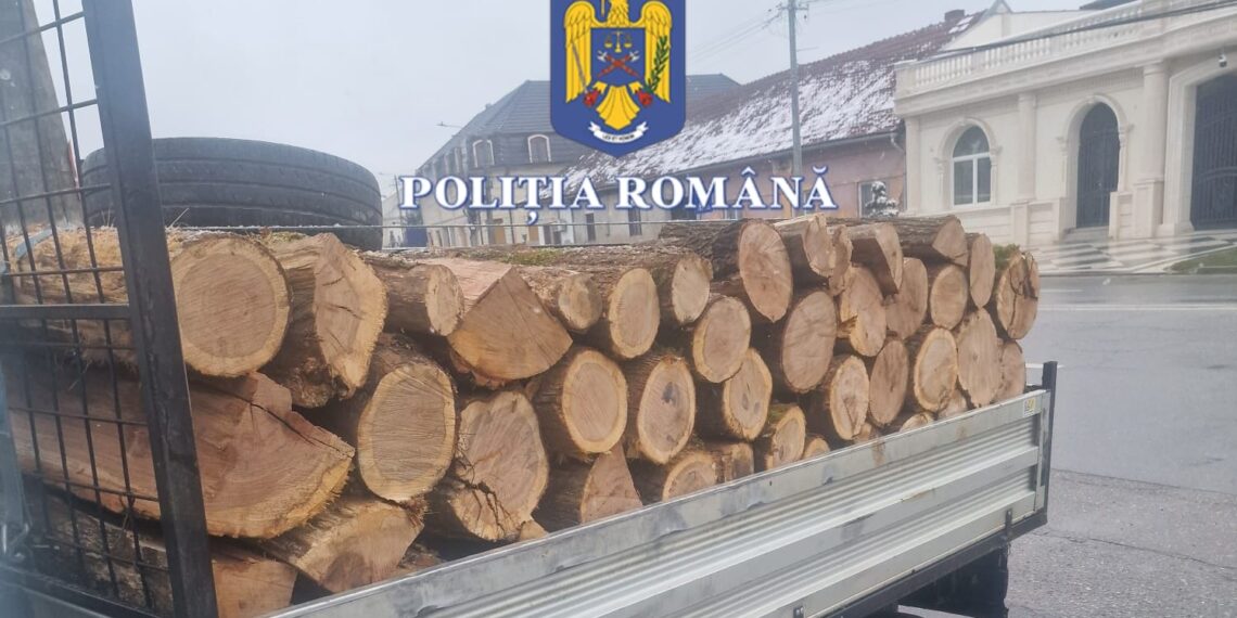 Un bărbat s-a ales cu amendă și a rămas fără lemne după ce le-a transportat ilegal
