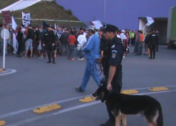 Ultima misiune de asigurare a ordinii publice a jandarmilor timișoreni, pe Stadionul „Dan Păltinișanu”