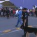 Ultima misiune de asigurare a ordinii publice a jandarmilor timișoreni, pe Stadionul „Dan Păltinișanu”