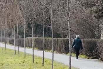 Timișoara, tot mai verde. Mii de copaci au fost plantați în tot orașul