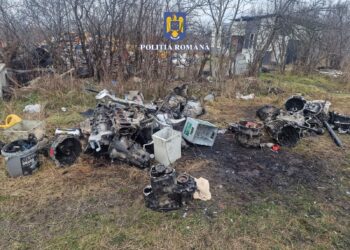 Verificări privind respectarea normelor referitoare la regimul deșeurilor în Timiș