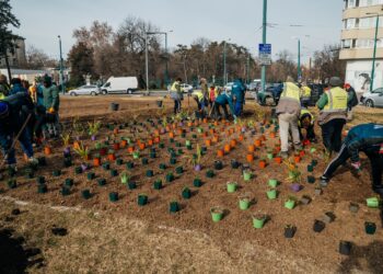 A început amenajarea peisagistică a Pieței Mărăști din Timișoara