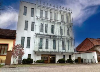 Peste 12 kilograme de canabis, capturate de polițiști și procurori la Timișoara/Video