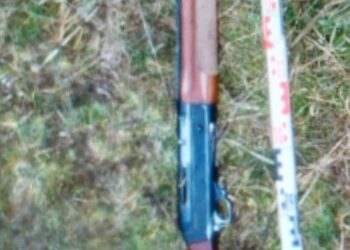 Au dat o „gaură” bugetului de stat de 2 milioane de lei. Percheziții în Timiș, Caraș și Mehedinți