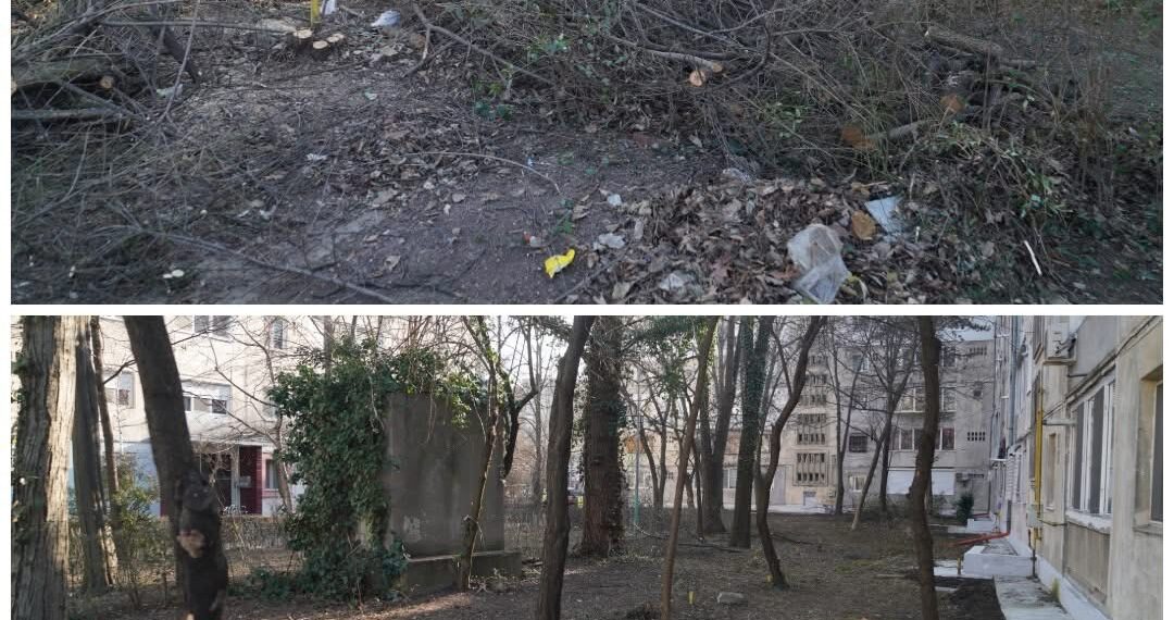 Primăria Timișoara a început reabilitarea spațiilor verzi dintre blocuri