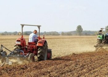 Declararea și înscrierea datelor în Registrul agricol la Lugoj