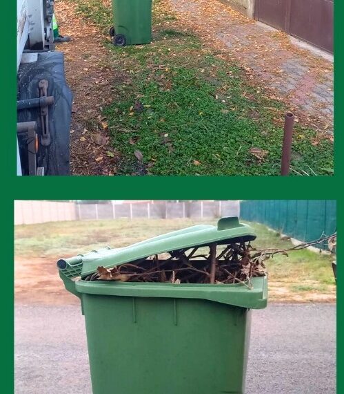 Primăria Recaș va face verificări privind respectarea obligației de încheiere a contractului de salubrizare