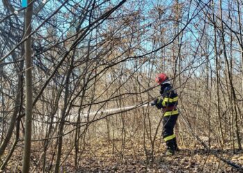 Peste 40 de situații de urgență înregistrate ieri, în județul Arad. Cele mai multe pentru asistență medicală