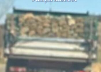 Material lemnos confiscat de polițiști