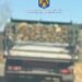 Material lemnos confiscat de polițiști
