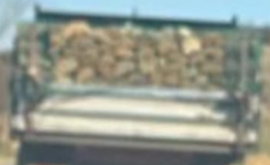 Material lemnos confiscat de polițiști