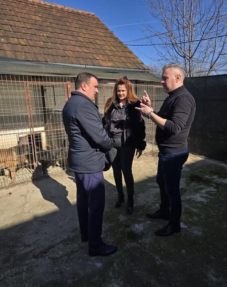 Campanie de sterilizare gratuită a câinilor la Lugoj