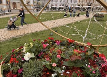 Primarul Dominic Fritz a transmis Consiliului Local propunerea de buget. Unde se duc banii