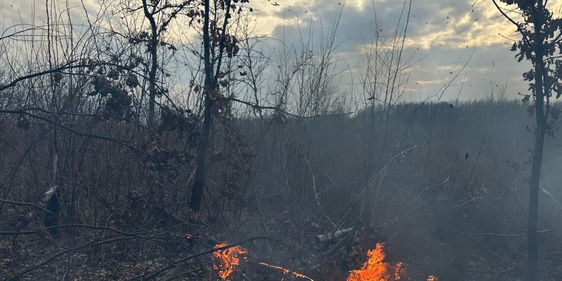 Peste 20 de incendii de vegetație, ieri, în Timiș