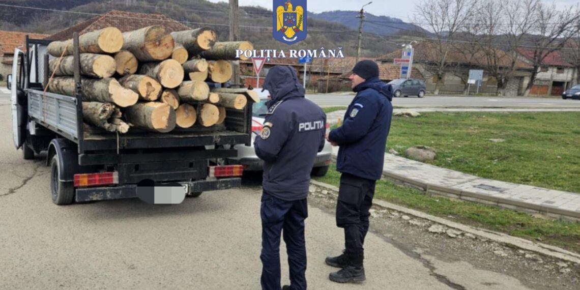 Acțiuni ale polițiștilor pentru prevenirea și combaterea ilegalităților în domeniul silvic
