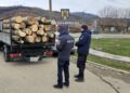 Acțiuni ale polițiștilor pentru prevenirea și combaterea ilegalităților în domeniul silvic