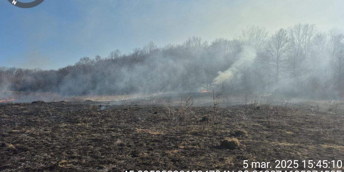 Peste 100 de hectare incendiate cu bună știință
