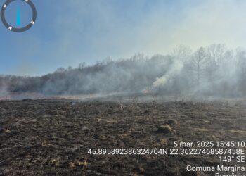 Peste 100 de hectare incendiate cu bună știință