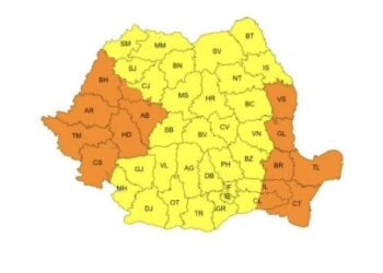 Cod portocaliu de vânt